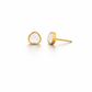 Oval Teardrop Stud Earrings
