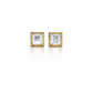 Emerald Cut Stud Earrings
